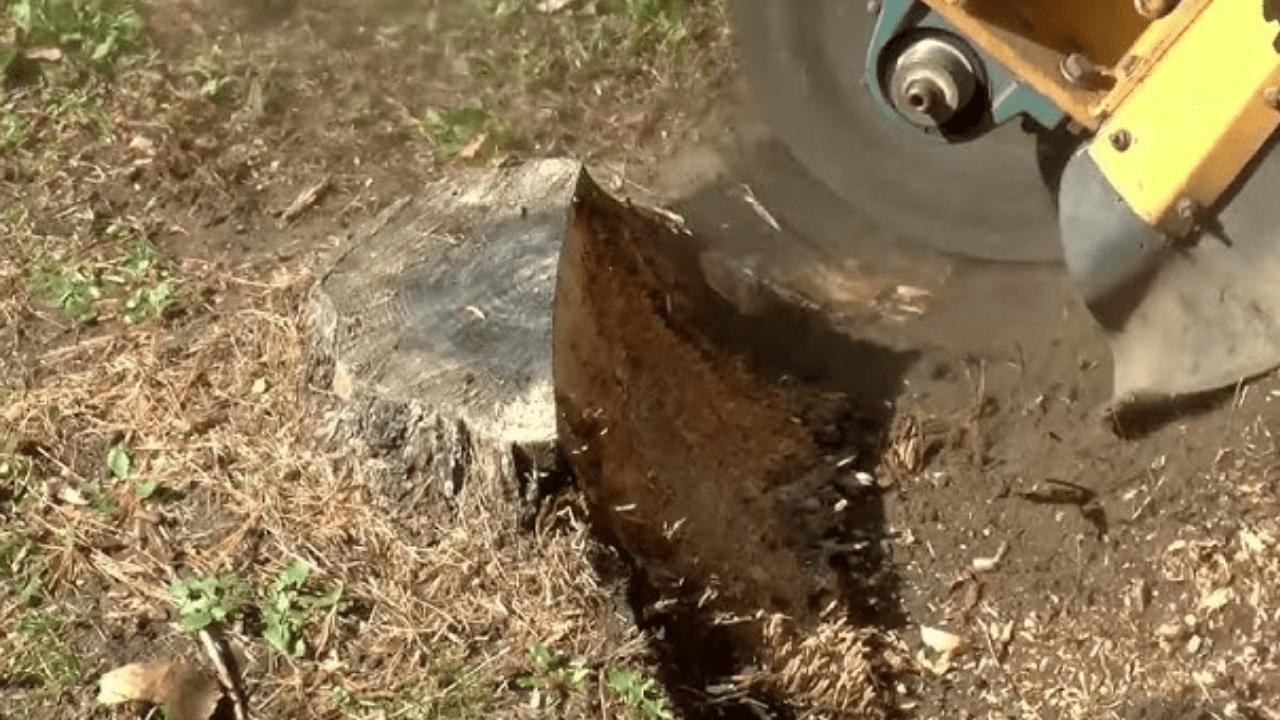 What Kind of Information Do You Have About the Groundhog T4 Trencher?