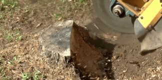 What Kind of Information Do You Have About the Groundhog T4 Trencher?