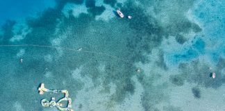 Why You Should Buy a Drone Jammer