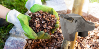 Mastering the Mulch: King Kong’s Forestry Tools for a Flourishing Landscape
